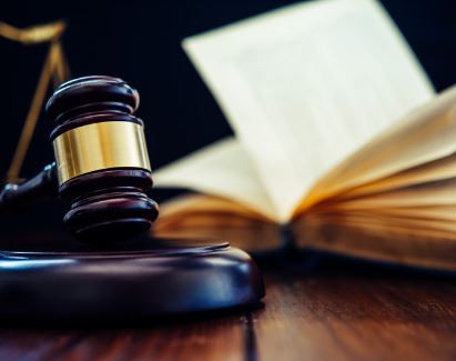 Constitutional & Judicial Review Litigation